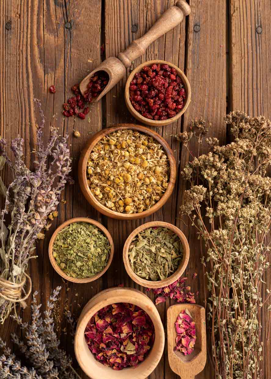 arrangement-natural-various-herbs-top-view-web