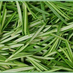 herbs